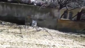 2 defineci için "Gömü bulup kaçtılar" iddiası