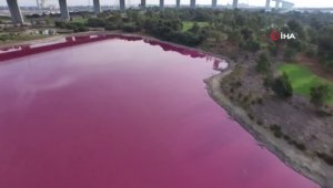 Avustralya'da bir göl pembe renge büründü