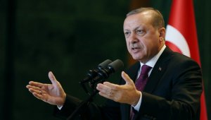 Cumhurbaşkanı Erdoğan, şampiyon sporcularını kutladı