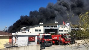 İstanbul Büyükşehir Belediyesi'nden yangın açıklaması