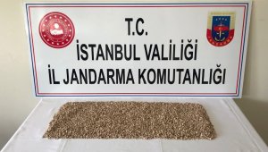 İstanbul'da jandarmadan uyuşturucu operasyonu