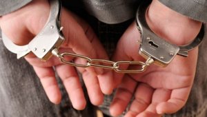 "Sürüngenler çetesi" üyesi 5 kişi tutuklandı