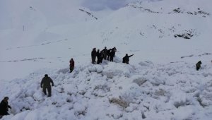 Şırnak-Hakkari karayoluna çığ düştü