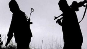 Terör örgütü PKK iyice köşeye sıkıştı