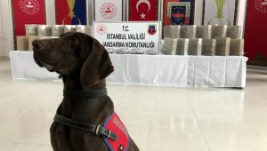 Uyuşturucuyu eğlence mekanlarına satacaklardı