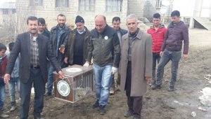 Yaralı Tilki tedavi altına alındı
