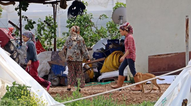 Antalya'da hortum seraları yerle bir etti, evlerin çatılarını söktü