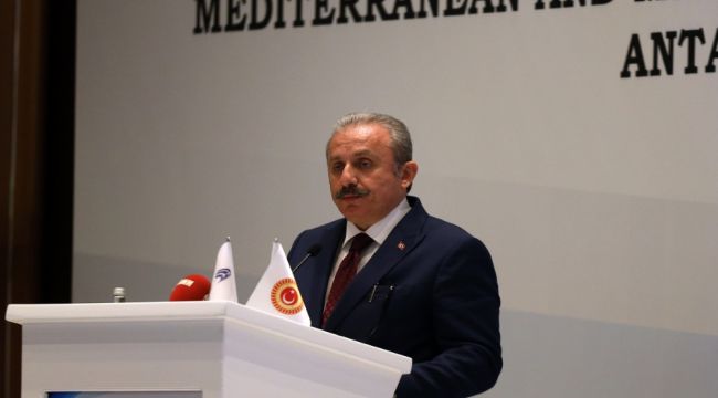 Başkan Şentop: "Fransız parlamenterin şovu"