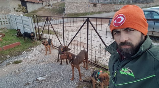 Bir köpek katliam haberi de Kütahya'da