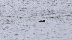Çanakkale Boğazı'nda büyüleyen görüntü