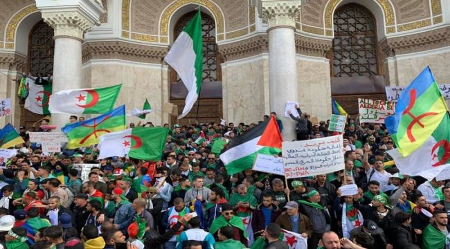 Cezayir'deki protestolarda 180 kişi gözaltında
