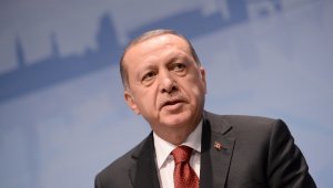 Cumhurbaşkanı Erdoğan, şampiyon sporcuları tebrik etti