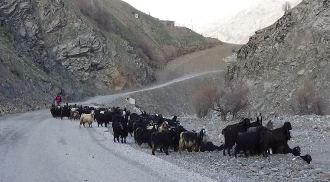 Dağ köyleri kar hapsinde