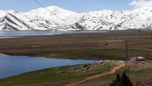 Girdev Gölü'nde binlerce balık telef oldu