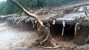 Güney Afrika'da sel ve toprak kayması: 51 ölü