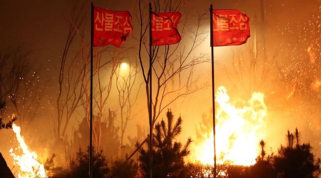 Güney Kore'de ulusal felaket ilan edildi