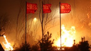 Güney Kore'de ulusal felaket ilan edildi