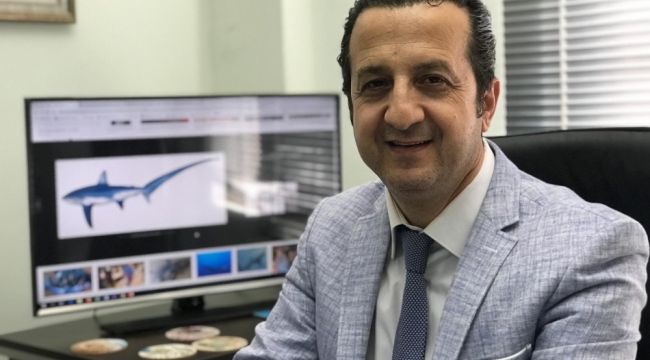 Hatay'da yakalanan köpek balığı nadir görülen tür çıktı