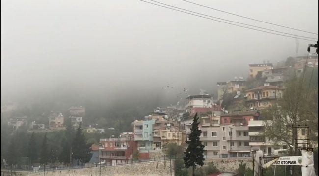 Hatay'da yoğun sis hayatı olumsuz etkiliyor