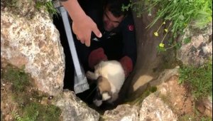 Kuyuda mahsur kalan yavru köpeği itfaiyeciler kurtardı