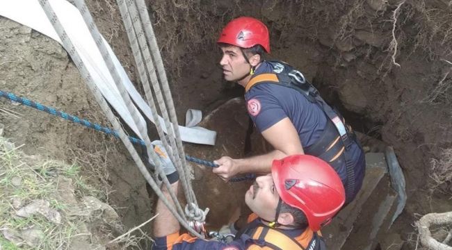 Kuyuya düşen inek, itfaiye ekipleri tarafından kurtarıldı