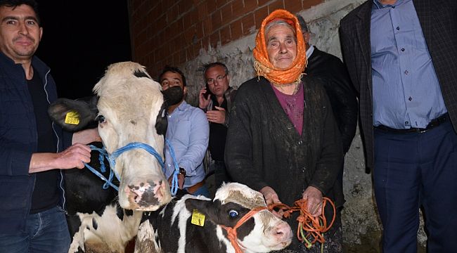 O nine için Bakanlık harekete geçti