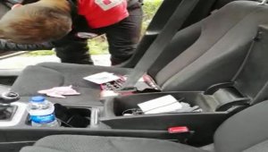 Oyuncak ayıdan tabanca çıktı