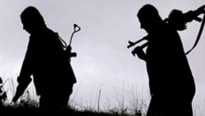 PKK'nın İranlı sözde bölge sorumlusu etkisiz hale getirildi