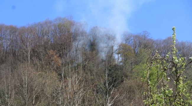 Rize'de ormanlık alanda yangın