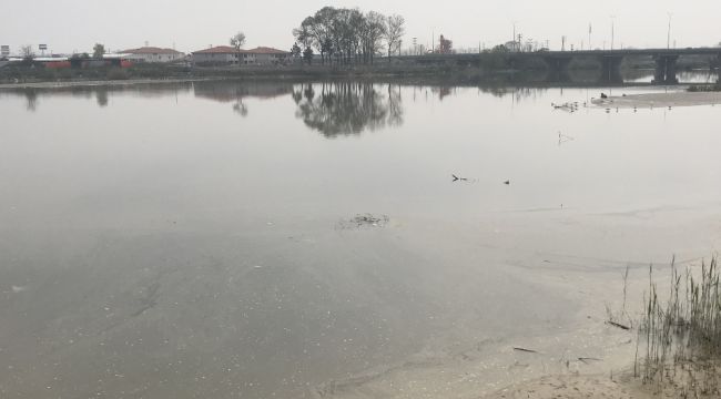 Sakarya Nehrindeki kirlilik seviyesi en üst seviyede
