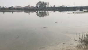 Sakarya Nehrindeki kirlilik seviyesi en üst seviyede 