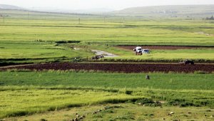 Serinlemek için girdiği derede boğuldu