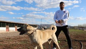 Taha Akgül: "Minderin kangalıyım"