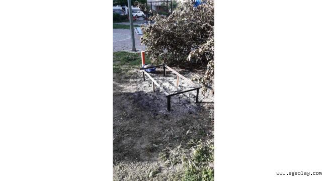Tugay'dan kedi vahşetine sert tepki!