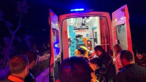Turistleri taşıyan minibüs kaza yaptı: 12 yaralı