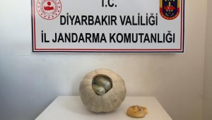 Uyuşturucu tacirlerinden inanılmaz yöntem: Bal kabağını...