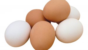 Yumurta üretimi Şubat'ta azaldı