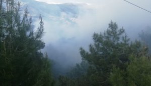 Adıyaman'da yangında 3 hektarlık orman zarar gördü
