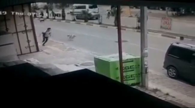 Antalya'da okula giden iki öğrenciye sokak köpekleri saldırdı