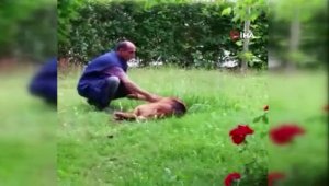 Belediye işçisi ile sokak köpeğinin iç ısıtan görüntüleri