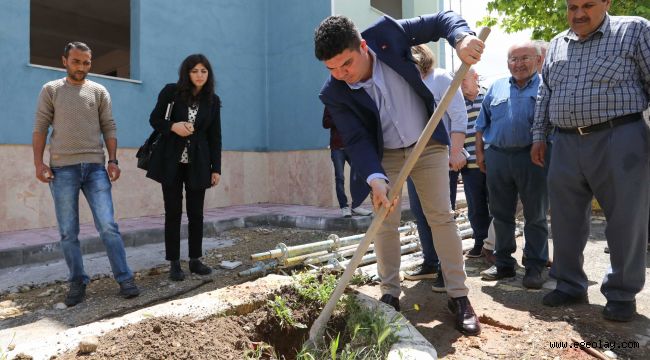 Buca köylerinde zeytin seferberliği