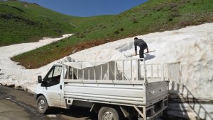 Dağlardan topladıkları karları ilçede sattılar