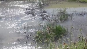 Hatay'da nehirde 2 ceset bulundu