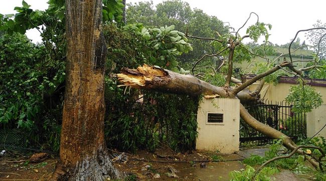 Hindistan ve Bangladeş'i vuran Fani Kasırgası 9 ölüme yol açtı