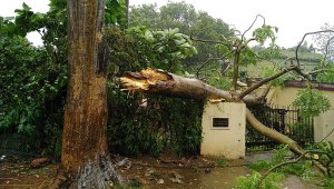 Hindistan ve Bangladeş'i vuran Fani Kasırgası 9 ölüme yol açtı