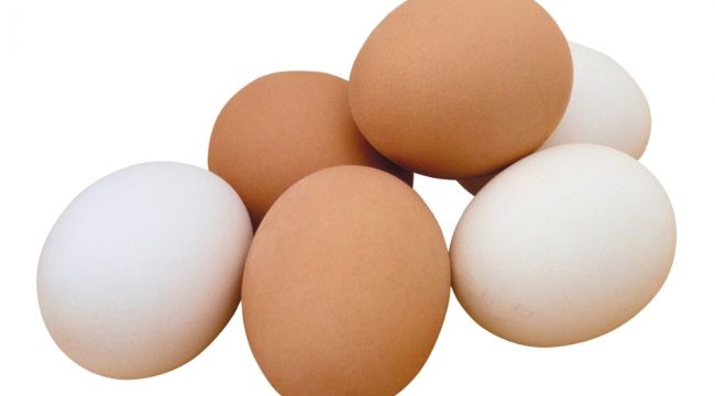 Irak yumurta ithalatını durdurdu, yumurta üreticisi zorda