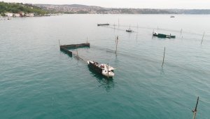 İstanbul'un son dalyanı havadan görüntülendi