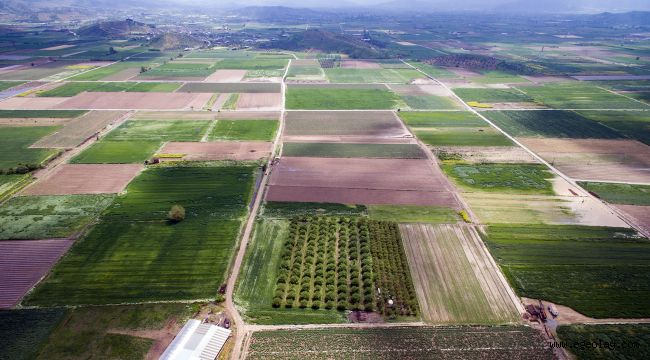 İzmir, Manisa ve Uşak'ta Toplulaştırma Çalışmaları Devam Ediyor