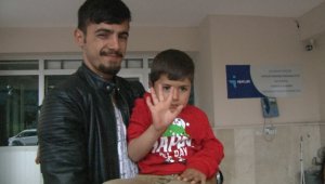 Kedinin peşinden gitmişler