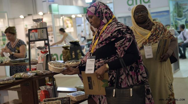 Organik ürün ihracatına Ekoloji İzmir katkısı